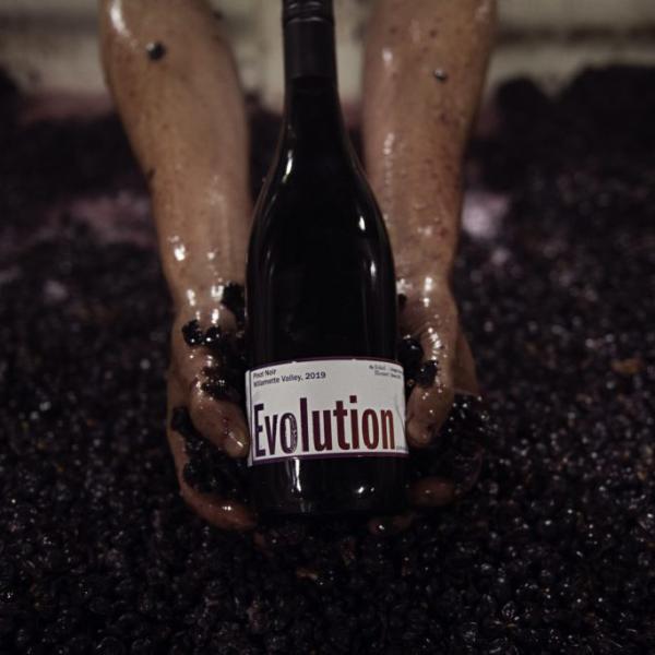 Evolution Pinot Noir