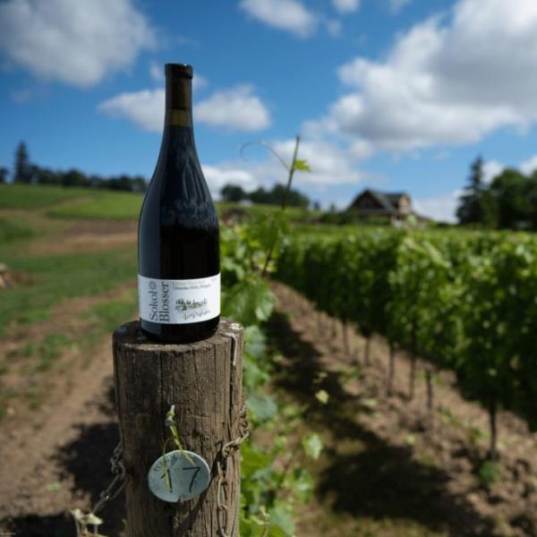 Dundee Hills Pinot Noir
