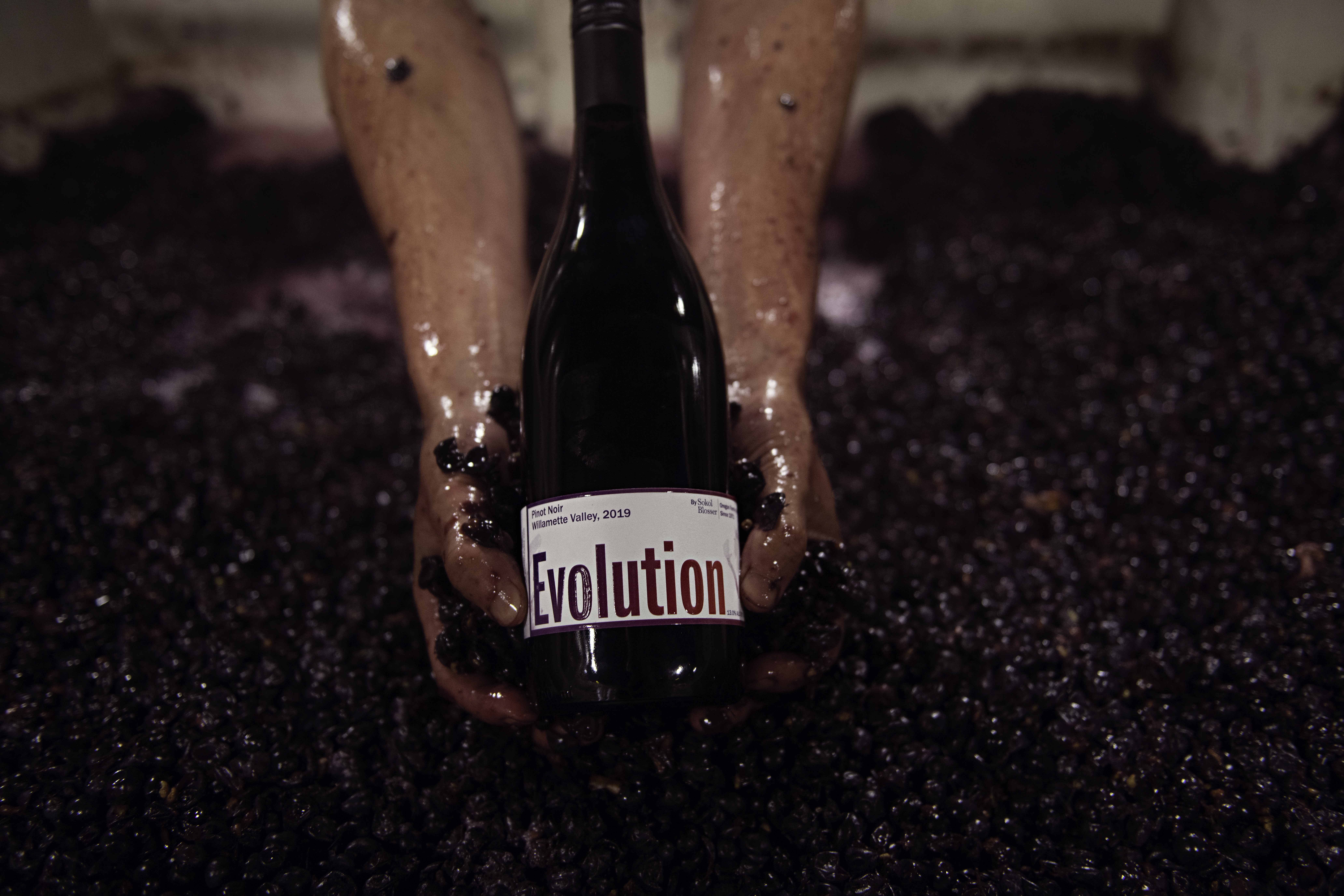 Evolution Pinot Noir – Click Here