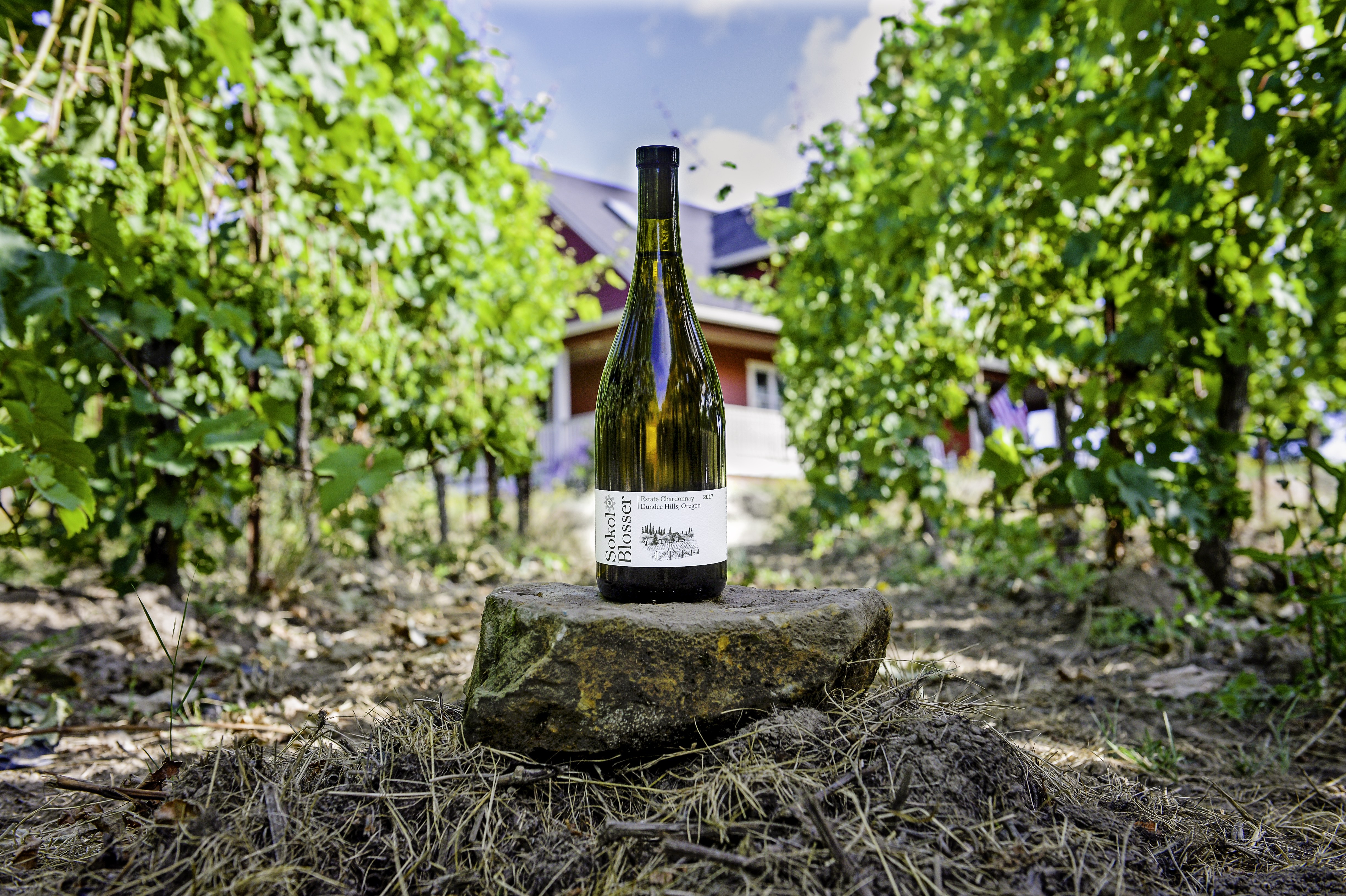 Dundee Hills Chardonnay – Click Here