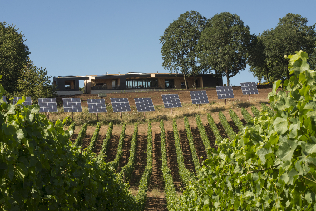 View of Sokol Blosser Winery Tasting Room and solar panels, Dayton, Dundee Hills, Oregon