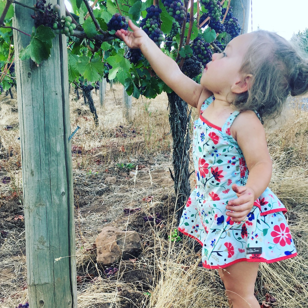 Alison's daughter and 3rd generation winegrower (and grape eater), Izzy!